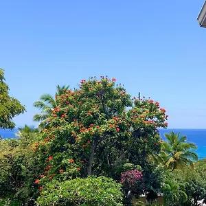 A Little Aloha Kailua-Kona